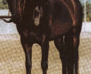 img027
