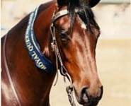 kennallywoodstatesman02