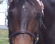 Abbie