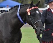 215718_2033726801942_1207348480_2488659_3857592_n