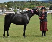 216420_2033728401982_1207348480_2488665_3114130_n