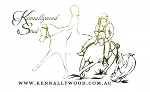 Kennallywood logo (simple)